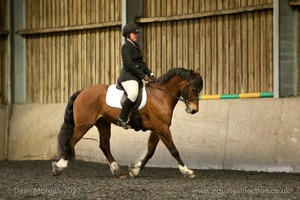 Isis Dressage Crown Farm Show 29th April 2012